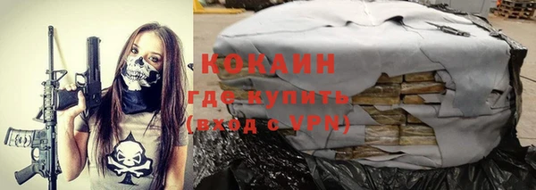 прущие грибы Тобольск