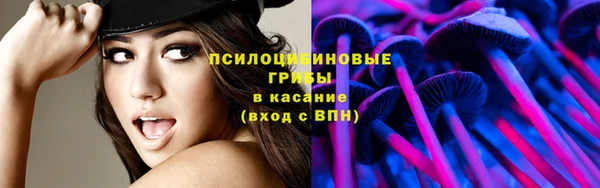 герыч Тихвин