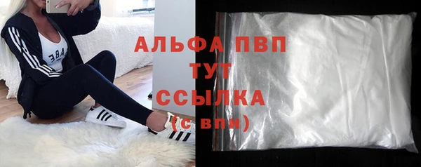 прущие грибы Тобольск