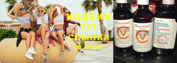 прущие грибы Тобольск